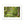 Green forest landscape