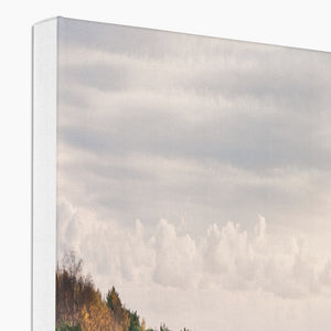 Autumn forest landscape