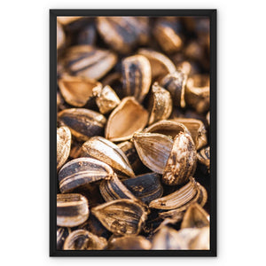 Sun Flower seeds shells 3