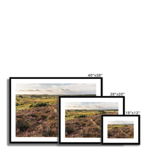 Holm Hill Heather