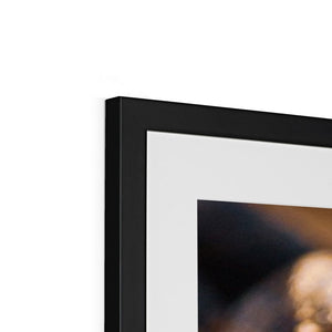 Sun Flower seeds shells