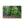 Deep forest landscape