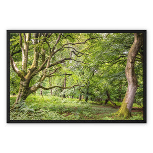 Green forest landscape