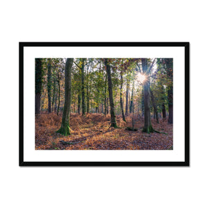 Autumn light