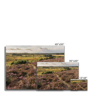 Holm Hill Heather