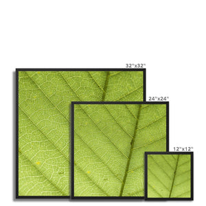 Leaf fractal