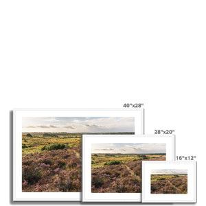 Holm Hill Heather