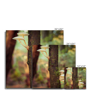 Mushroom tree