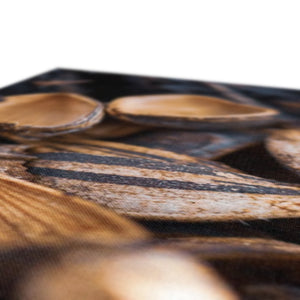 Sun Flower seeds shells 2