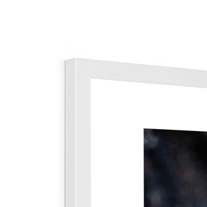 Sun Flower seeds shells 2