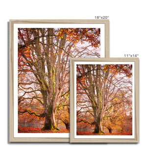 Autumn tree