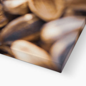 Sun Flower seeds shells 2