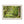 Green forest landscape