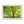 Emerald canopy forest scene
