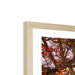 Autumn tree