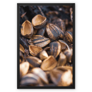 Sun Flower seeds shells 2