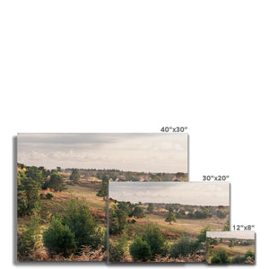 Autumn forest landscape