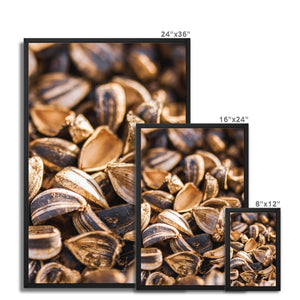 Sun Flower seeds shells 3