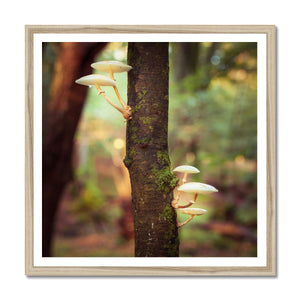 Mushroom tree