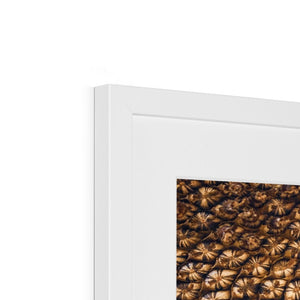 Sun Flower seed pattern