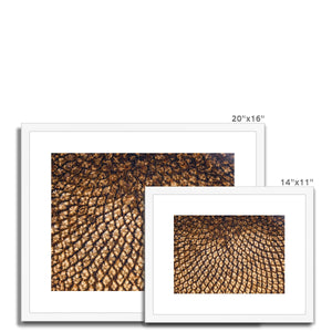 Sun Flower seed pattern