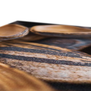 Sun Flower seeds shells 2