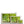 Emerald canopy forest scene