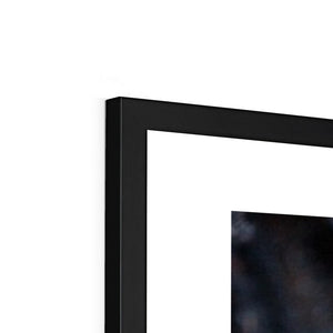 Sun Flower seeds shells 2