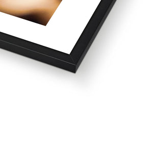 Sun Flower seeds shells 2