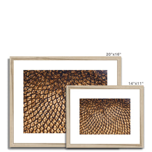 Sun Flower seed pattern