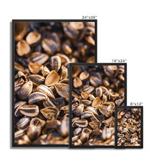 Sun Flower seeds shells 3