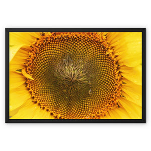 Sun Flower 2