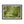 Green forest landscape