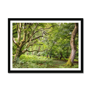 Green forest landscape