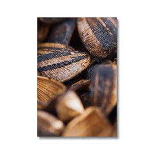 Sun Flower seeds shells 2