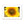 Sun Flower 2