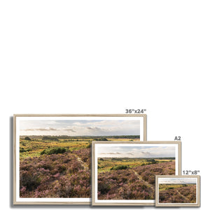 Holm Hill Heather