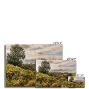 Seasons valley