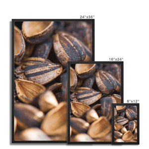 Sun Flower seeds shells 2