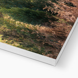 Autumn forest landscape