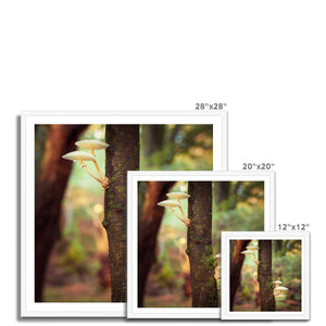 Mushroom tree