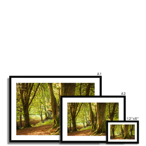 Deep Forest Aura