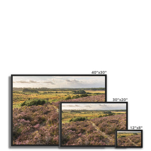 Holm Hill Heather