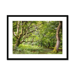 Green forest landscape