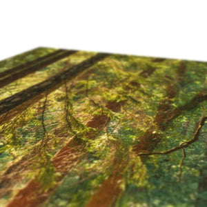 Sunlit Forest