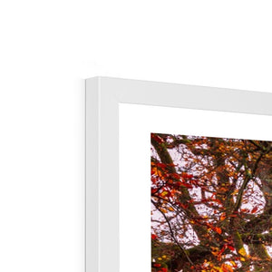 Autumn tree