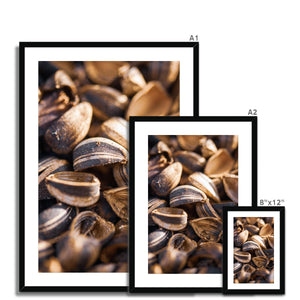 Sun Flower seeds shells