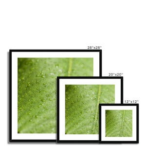Leaf droplets