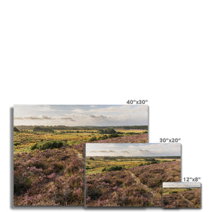 Holm Hill Heather