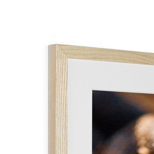 Sun Flower seeds shells